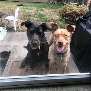 Meet your Posher, Kaylee